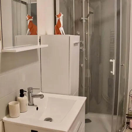 Douillet Proche Gare Apartment Clermont-Ferrand