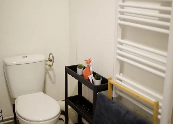 Douillet Proche Gare * Clermont-Ferrand